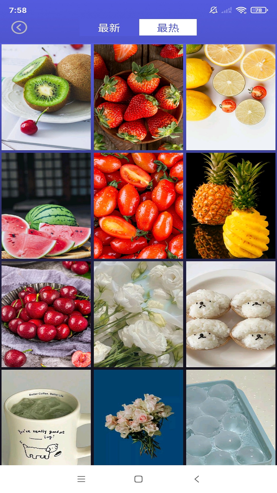 壁紙大全截圖預(yù)覽