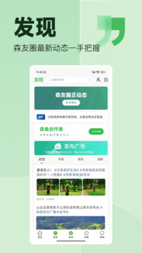 森鱼1