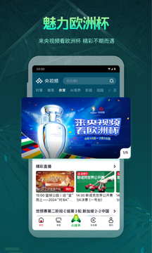 央視頻截圖
