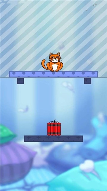 我的貓咪截圖預(yù)覽