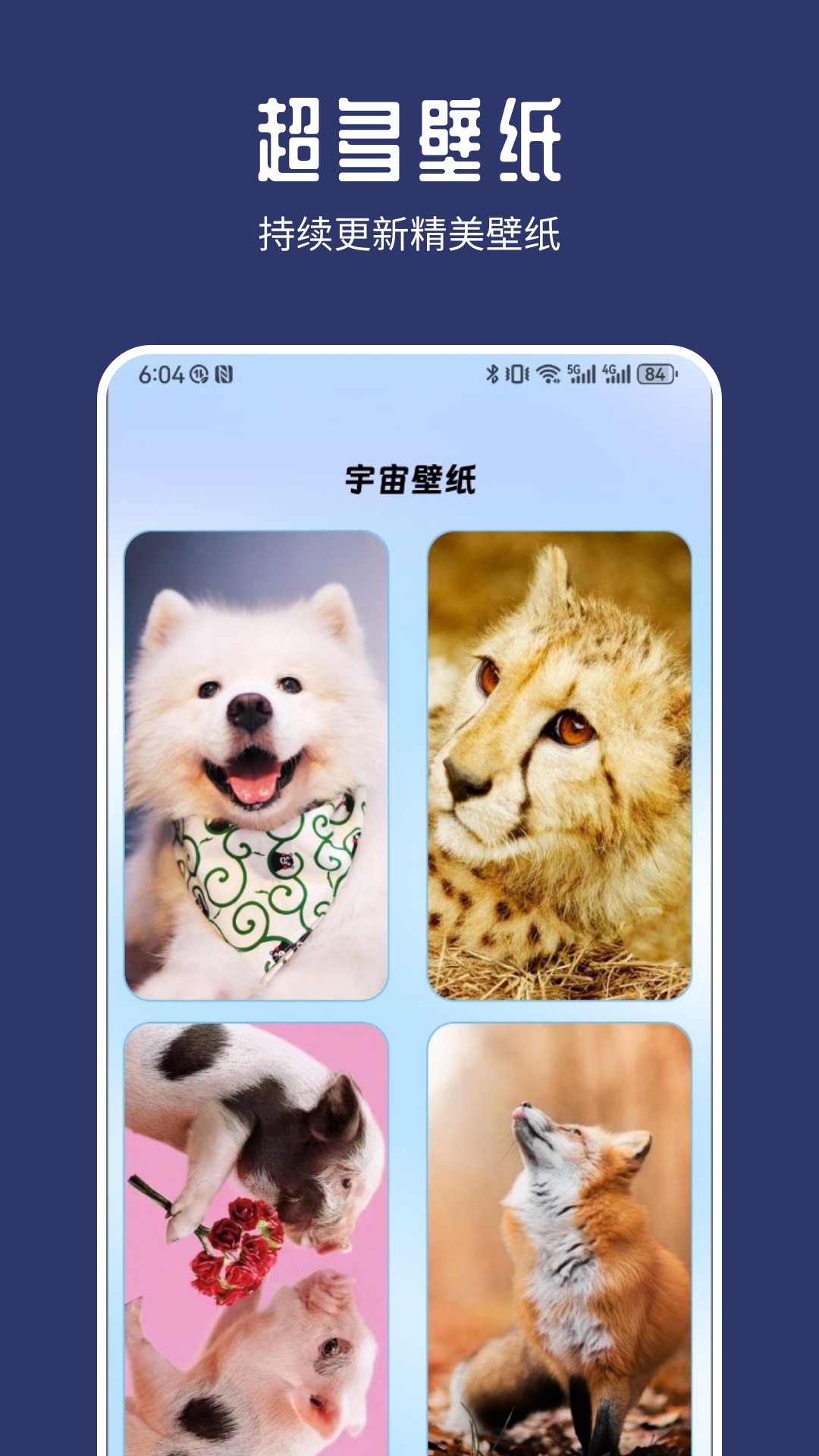 樹懶Acc截圖預(yù)覽