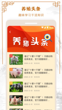 全民養(yǎng)豬場(chǎng)截圖