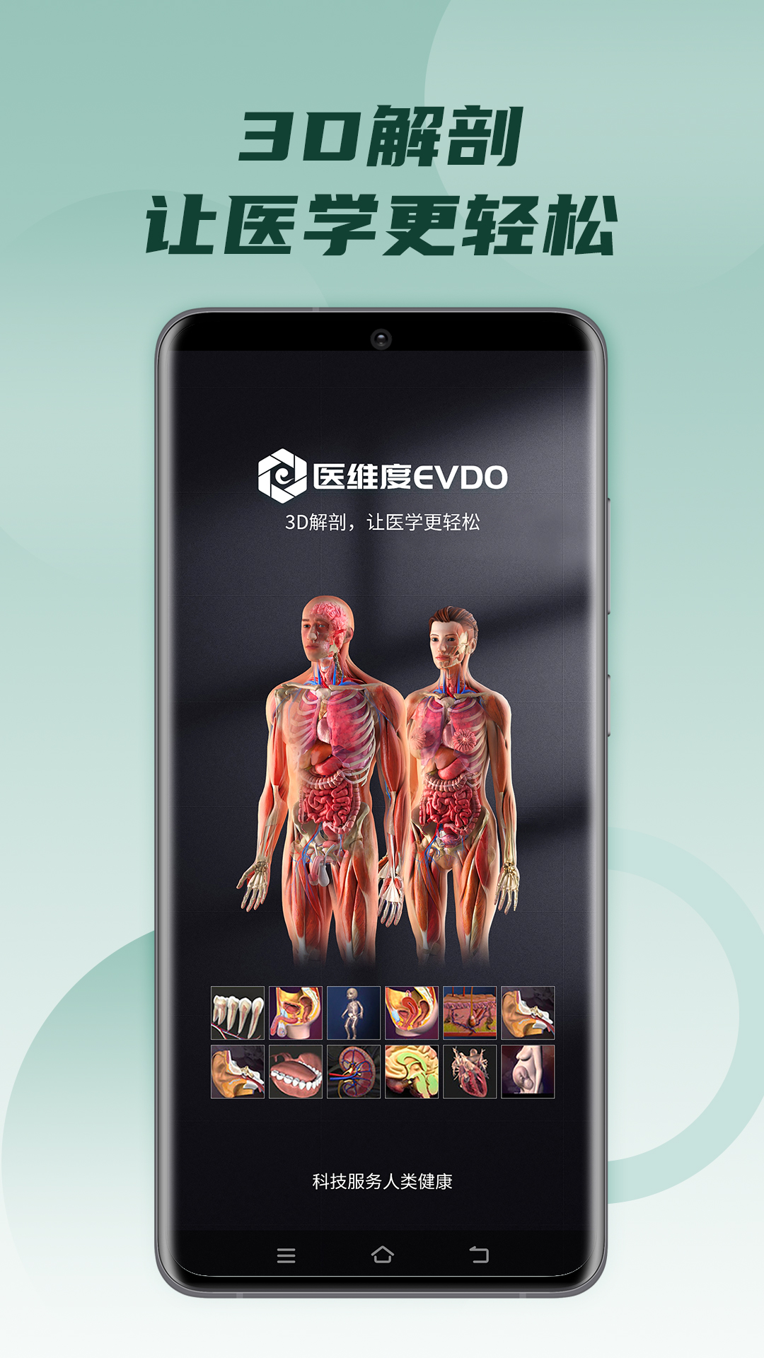 医维度解剖v3.3.4截图5