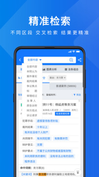 聚法案例截圖