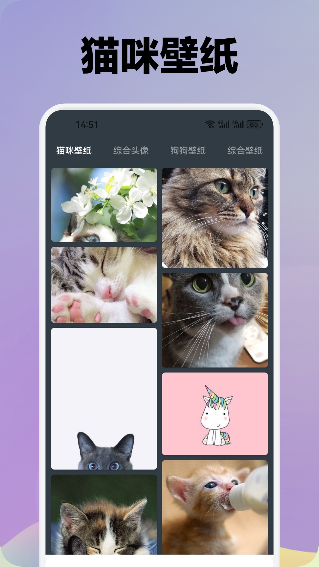 我家猫舍截图3