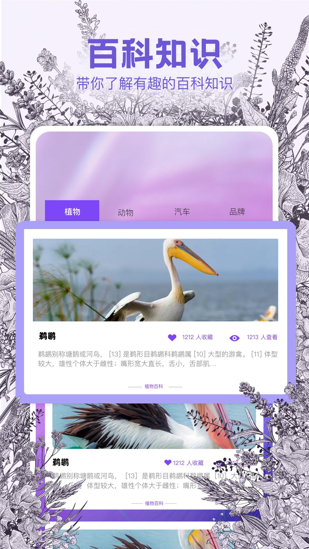 識物相機截圖預(yù)覽