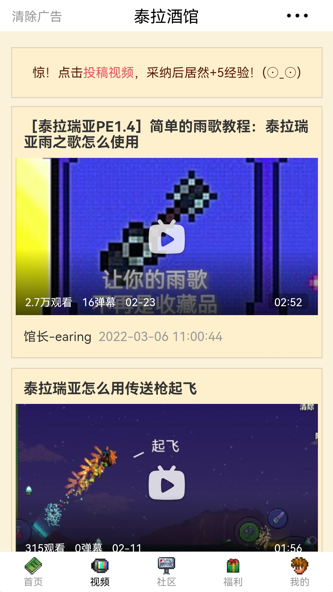 泰拉酒館截圖預(yù)覽