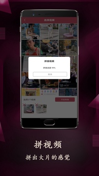 VUE截圖