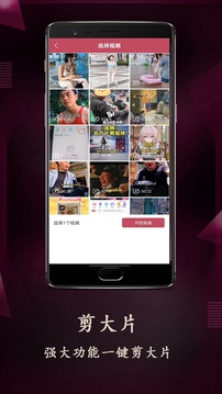 VUE截圖