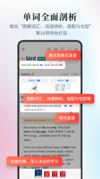 新牛津英汉双解大词典截图