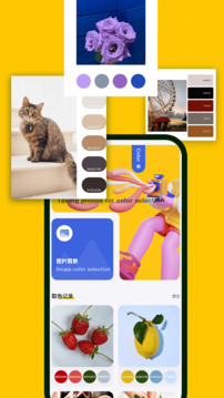 神圖定制截圖
