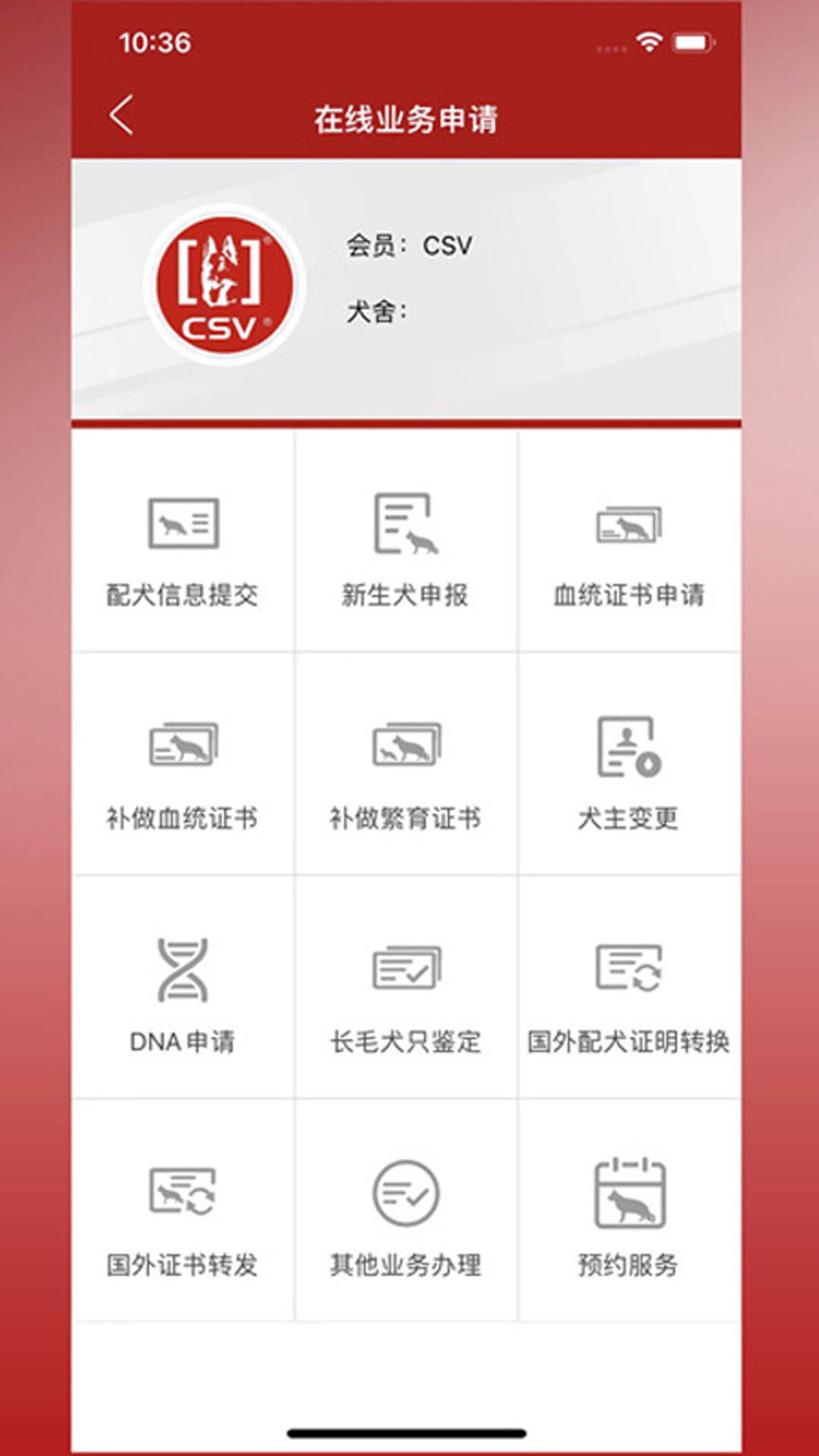 CSV截图5