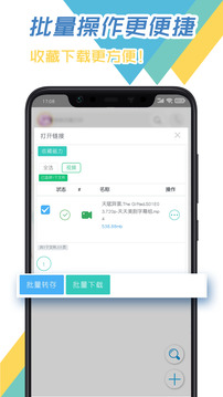 飛鳥下載器截圖