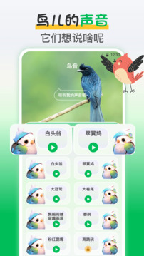 鳥(niǎo)語(yǔ)交流器截圖