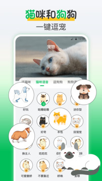鳥(niǎo)語(yǔ)交流器截圖
