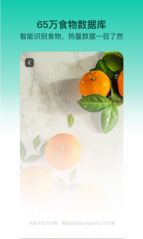 LEFU熱量減肥法截圖預(yù)覽