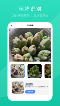 拍照識別截圖