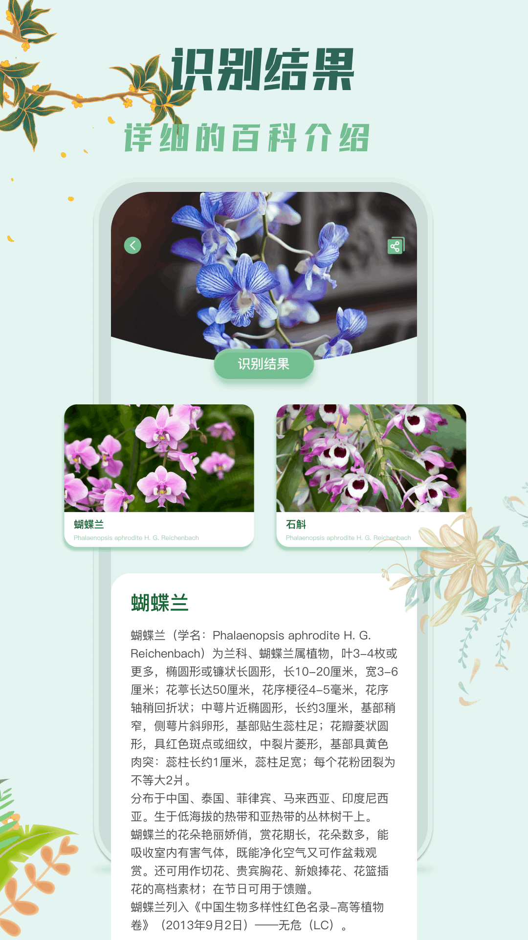 识花君植物识别截图3