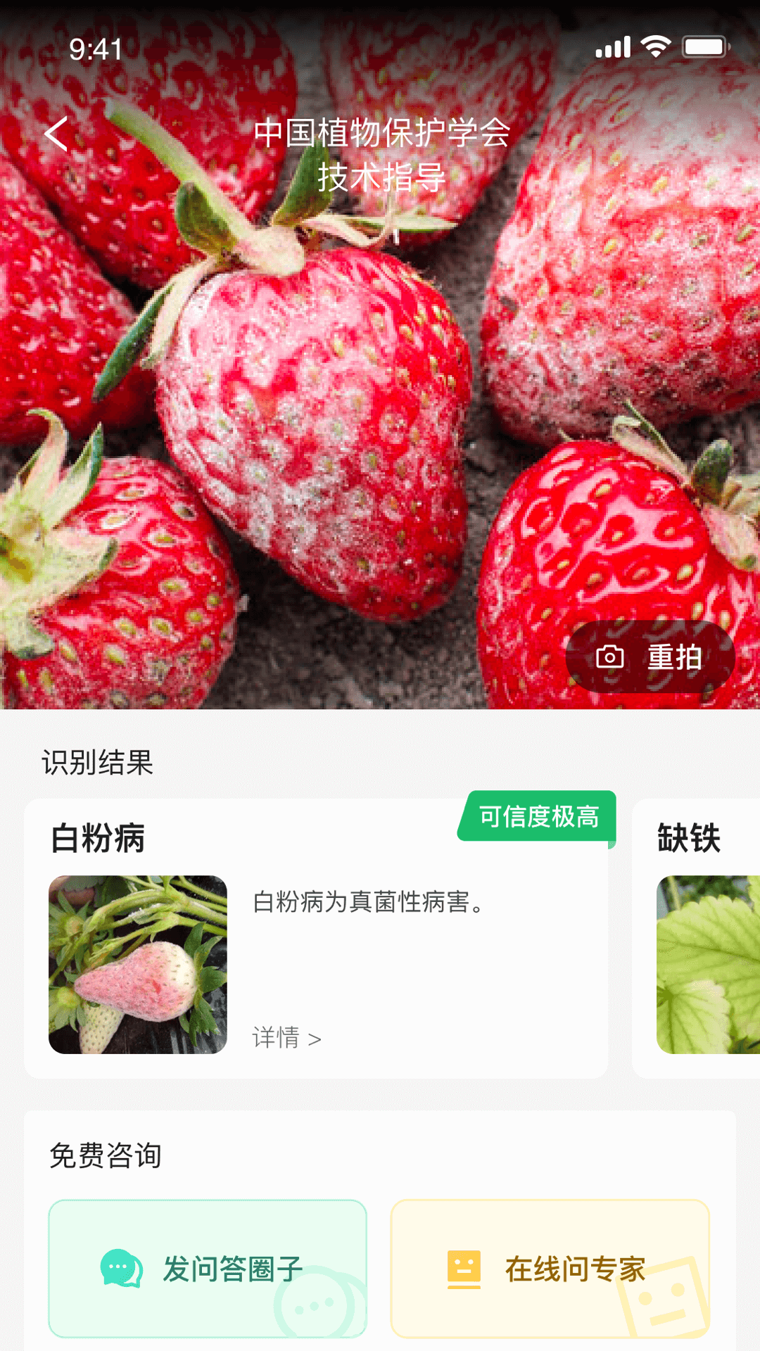 植小保截图2