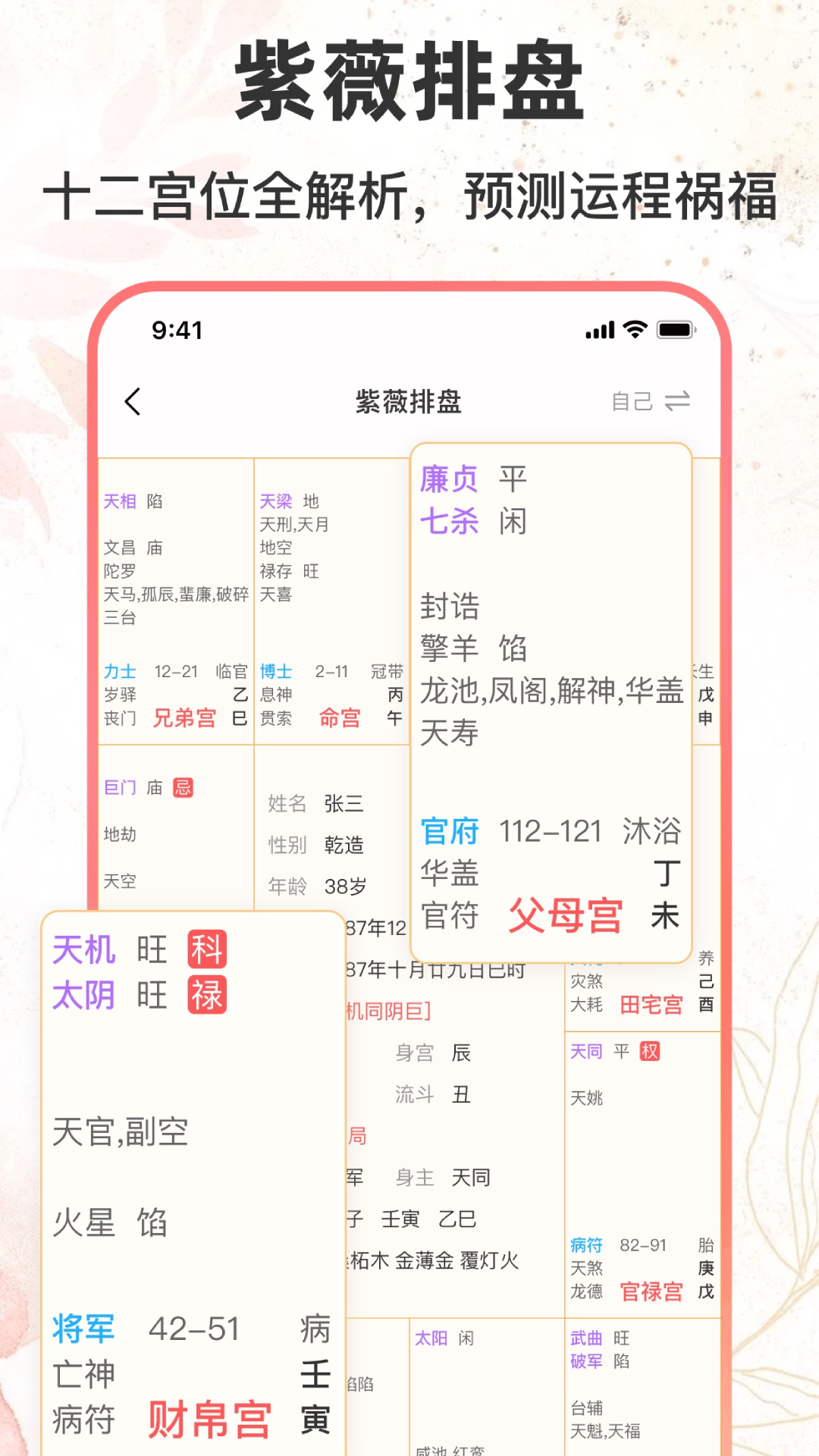 八字排盘助手v1.2.8截图3