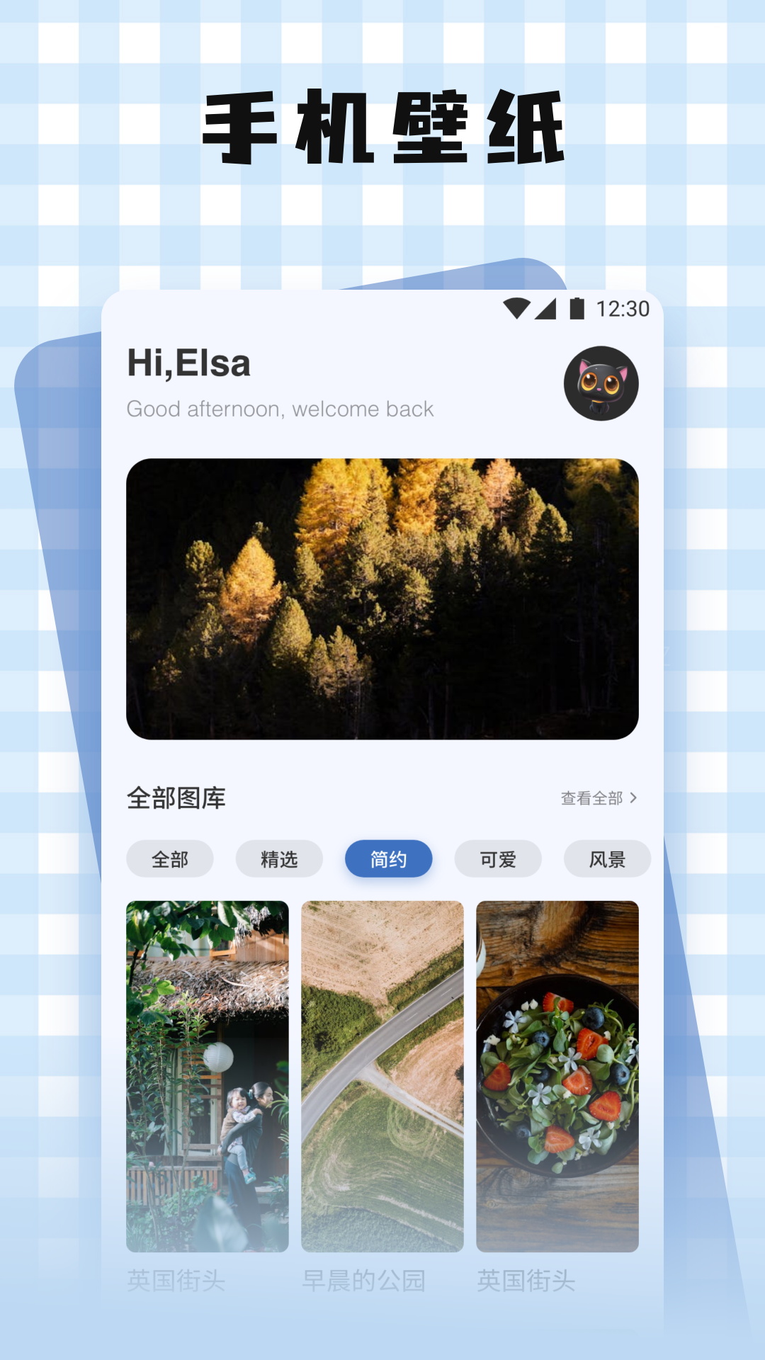 鍵盤皮膚截圖預(yù)覽