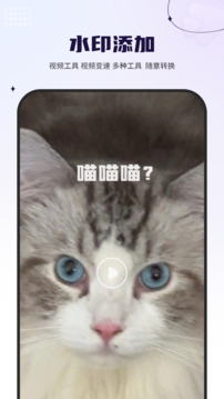 倍速播放器截圖