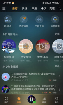 快嗨DJ截圖