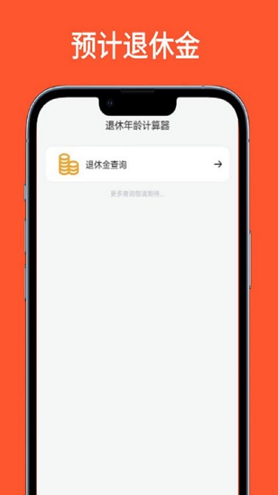 退休年龄计算器v1.0.1截图2