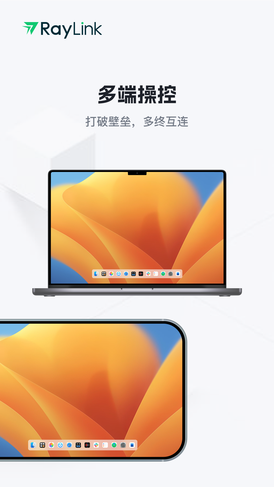 RayLink-远程控制v8.10.1截图2