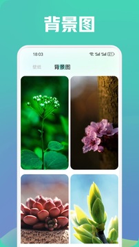 shaft壁紙截圖