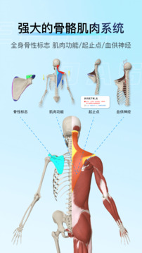 解剖大師1