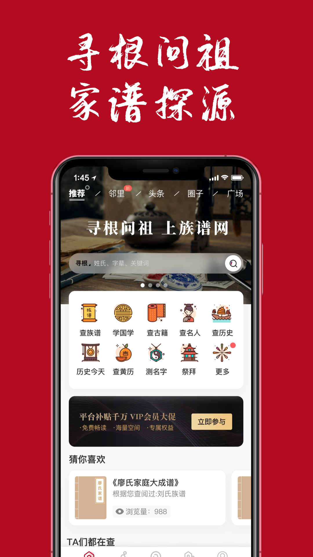 族谱截图5