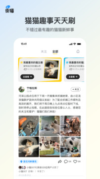 街猫4