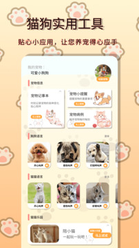 小動物之星截圖