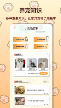 小動物之星截圖