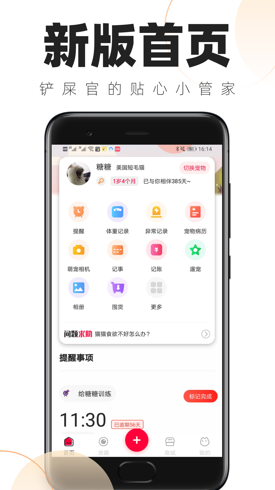 铲屎官的日常截图1