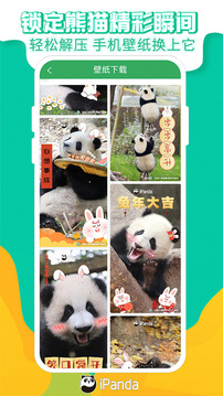 熊貓頻道截圖