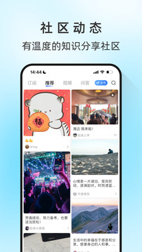馬蘭花開截圖