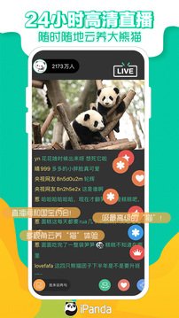熊貓頻道截圖