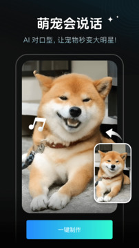 秀臉FacePlay截圖