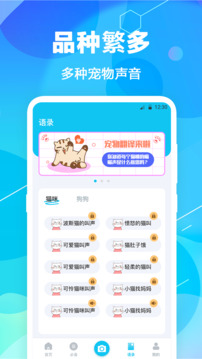 貓語(yǔ)翻譯pet截圖
