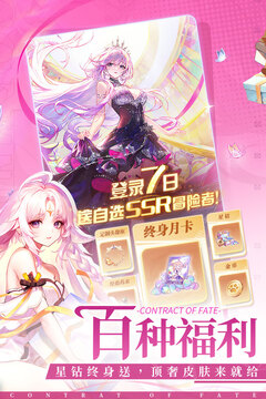命運(yùn)圣契截圖