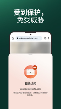 Island企業(yè)瀏覽器截圖