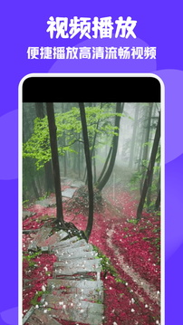雨林影視截圖
