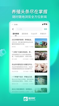 豬邦忙截圖