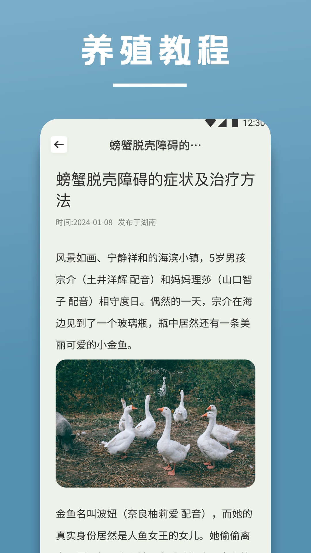 陽光養(yǎng)豬場(chǎng)截圖預(yù)覽