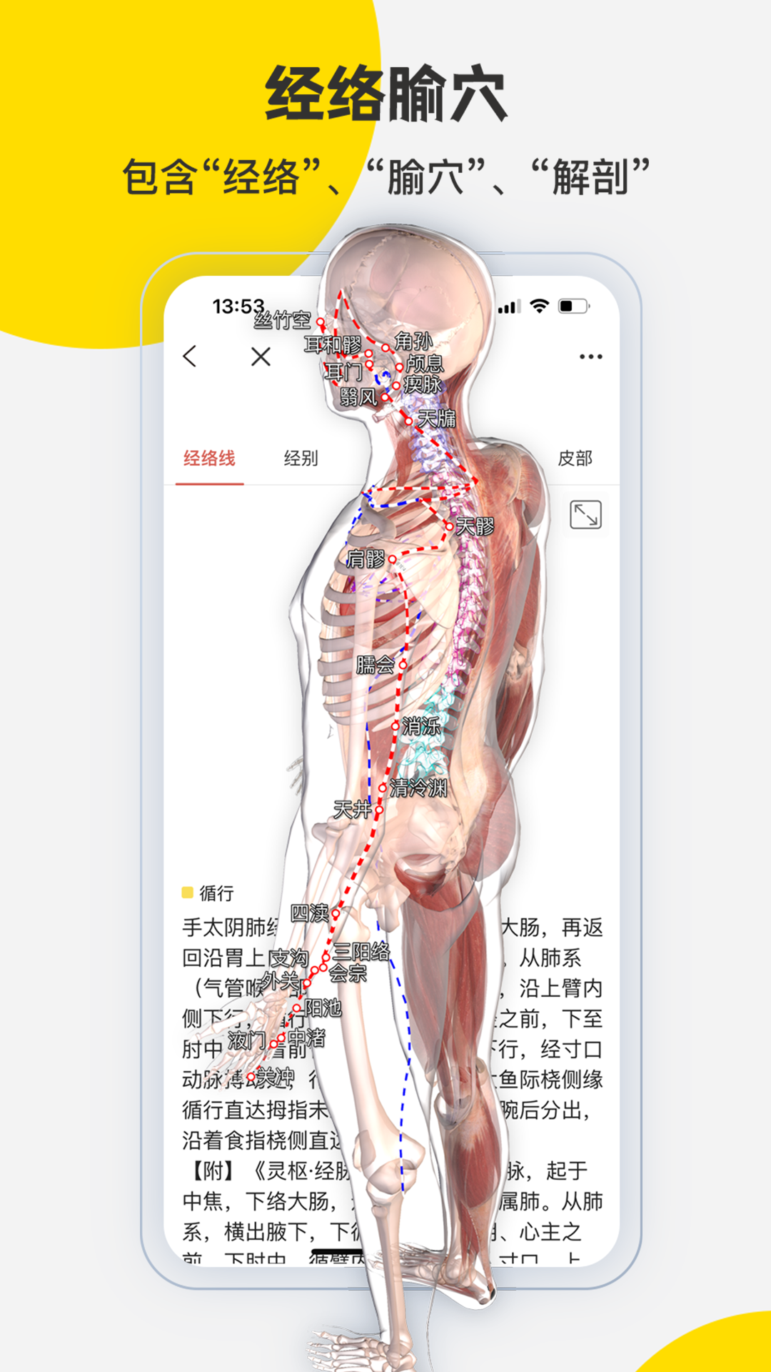 3DBody解剖v8.8.41截图2