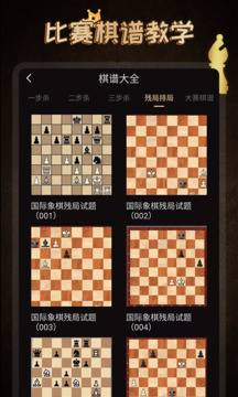 國(guó)際象棋學(xué)堂截圖