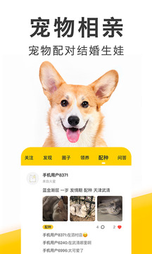 有只寵物截圖