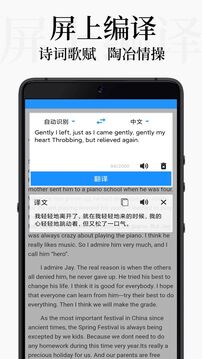 DB翻譯截圖